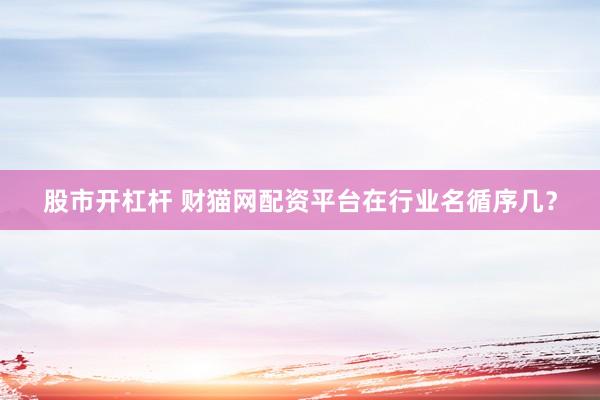 股市开杠杆 财猫网配资平台在行业名循序几？